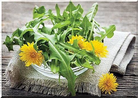 Home remedies for age spots: dandelions