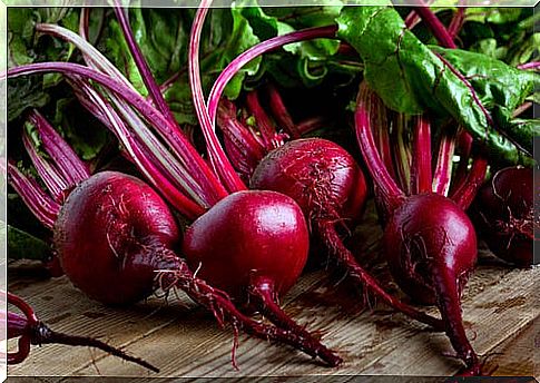 Creative recipes with beetroot 