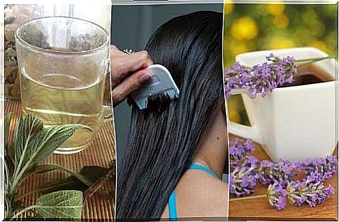 5 herbal remedies for lice