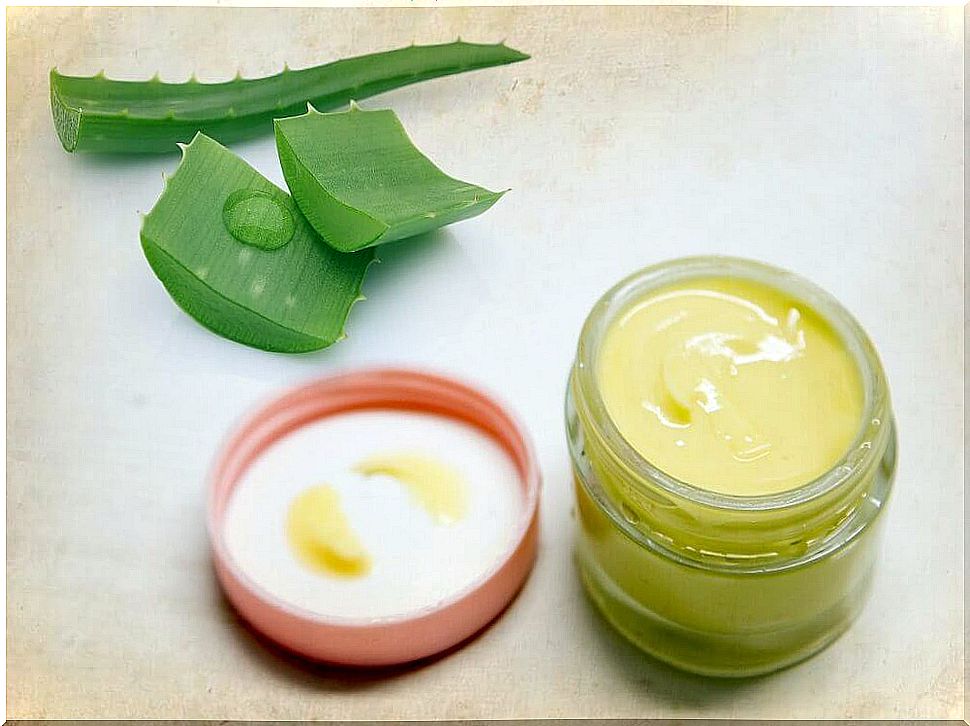 Cream with aloe vera and grape seed oil for well-groomed eye contours