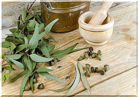 Remedies for allergies eucalyptus