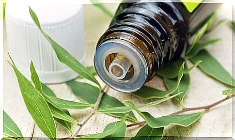 Tea tree oil against canker sores