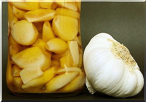 Garlic parasites