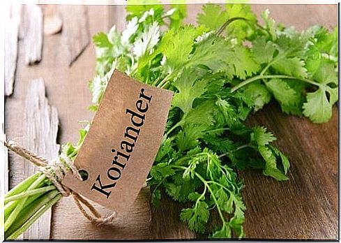 Coriander: a spice with medicinal properties