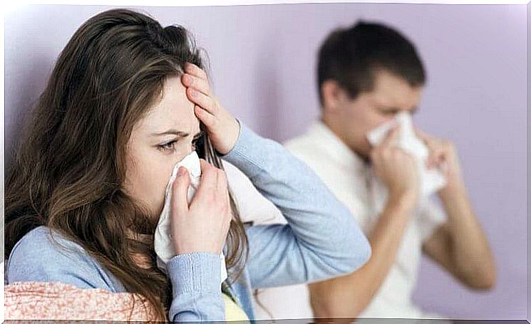Men and women use coriander to treat flu