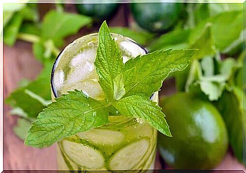 Detoxify the body with drinks according to the detox plan