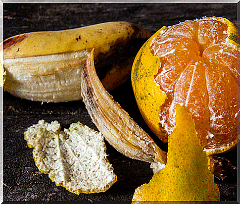 Do not throw away banana and orange peel!