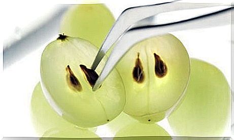 Grape seeds as a natural medicine for your kidneys