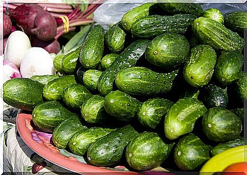 cucumber market