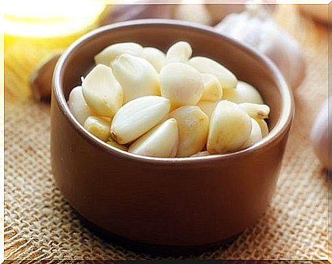 garlic food