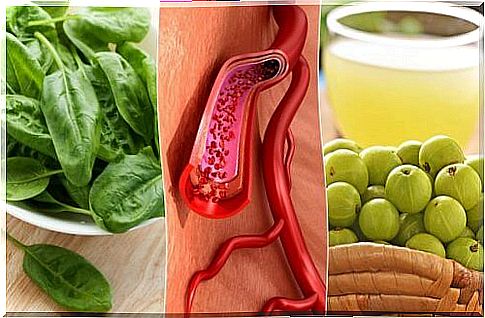 Increasing Platelets: The 7 Best Foods