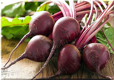Increase blood platelet count with beetroot