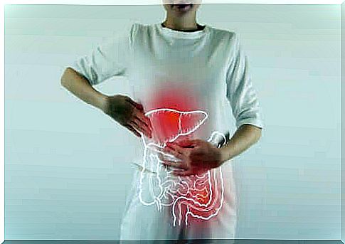 About Digestive Enzymes