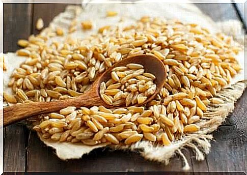 Kamut or Khorasan wheat: what is it?