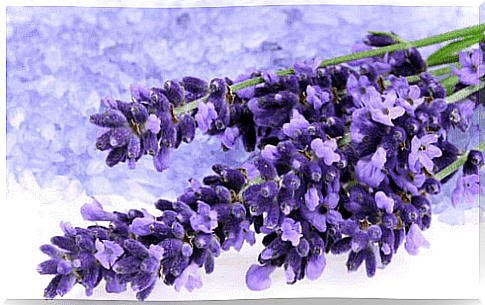 Lower blood pressure with lavender
