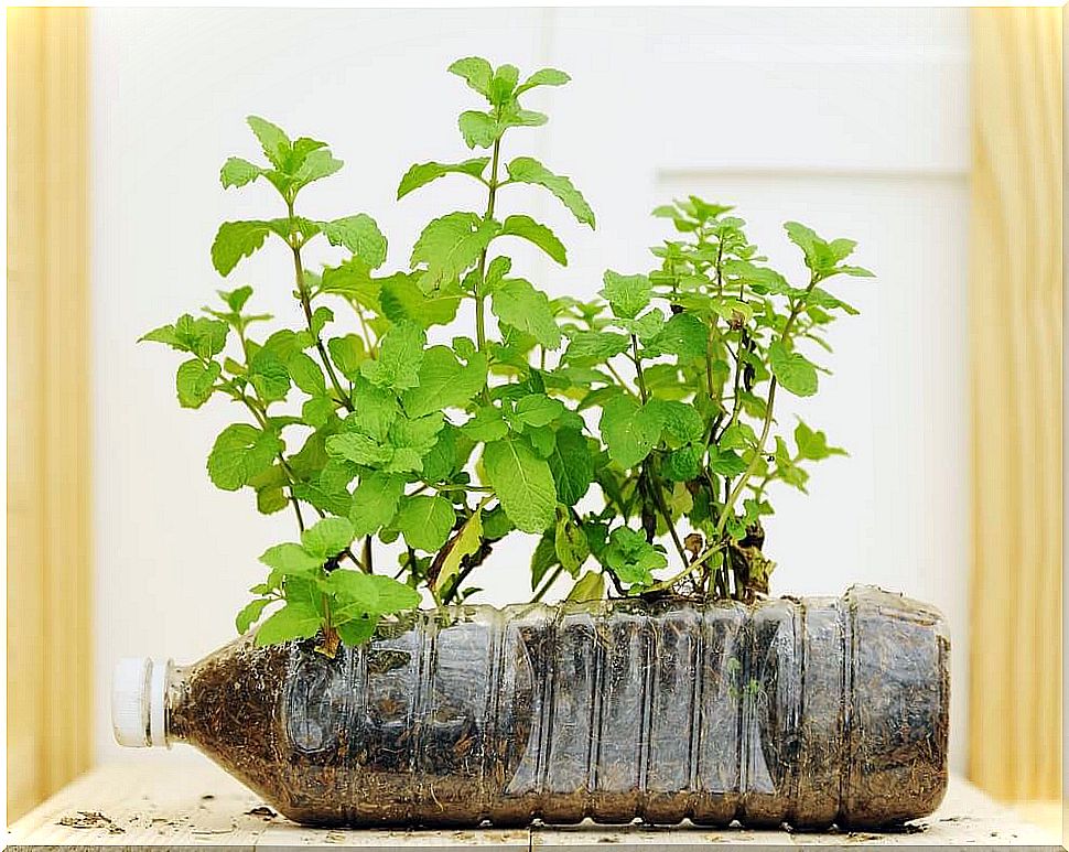Pots made from recycled materials: plastic bottles