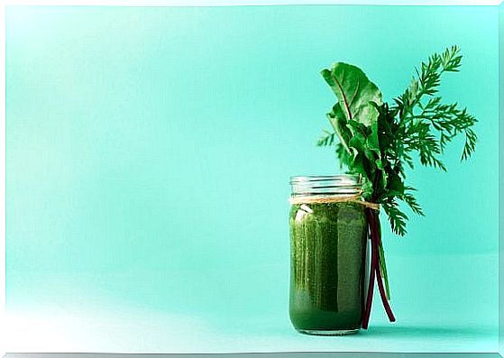 Myths and Facts About Vegetable Smoothies