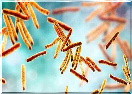 Pulmonary tuberculosis is caused by a bacterium called Mycobacterium tuberculosis