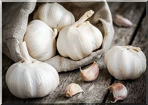 Garlic versus stridor