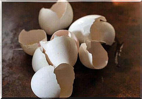 Why you should never throw away the eggshell